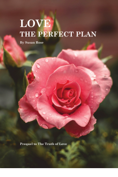 Love: The Perfect Plan